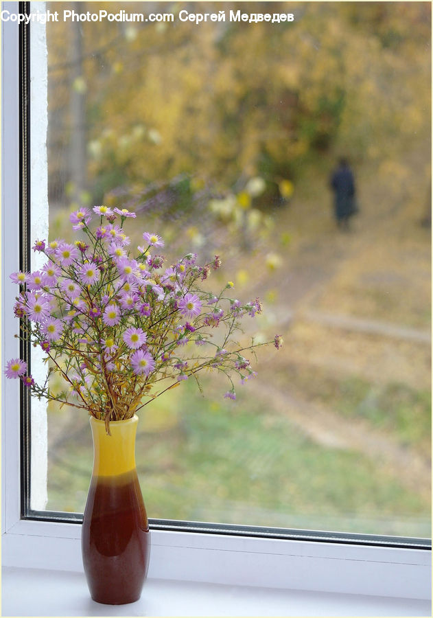 Plant, Potted Plant, Blossom, Flower, Lilac, Jar, Porcelain