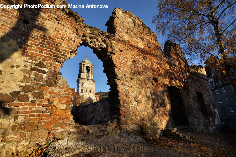 Ruins, Castle, Fort, Plant, Tree, Architecture, Building