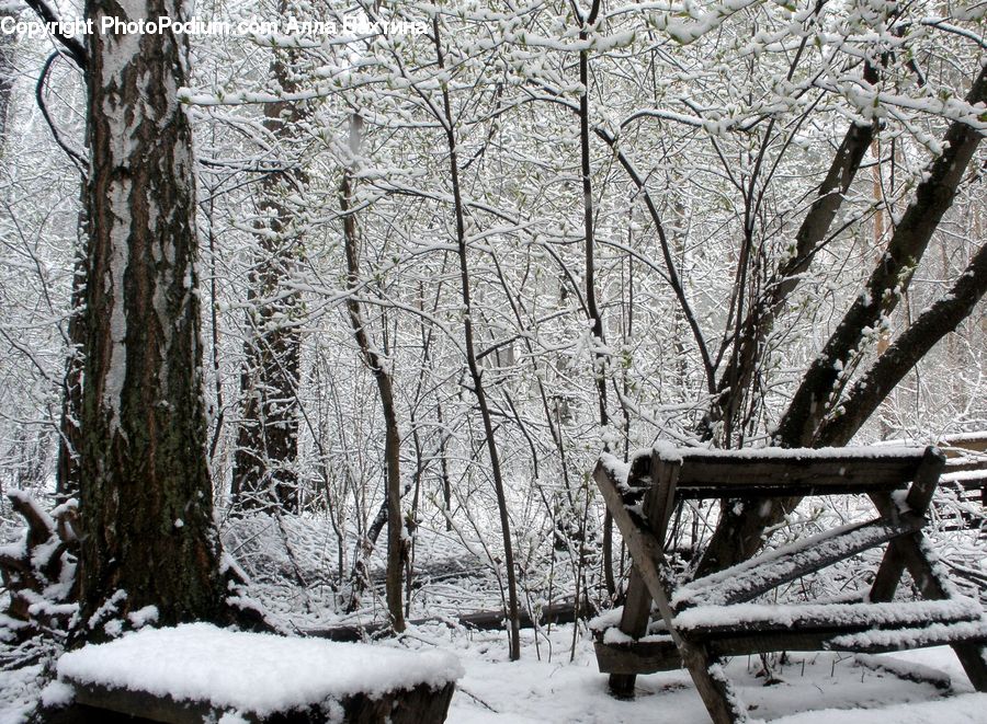 Bench, Park Bench, Ice, Outdoors, Snow, Plant, Tree