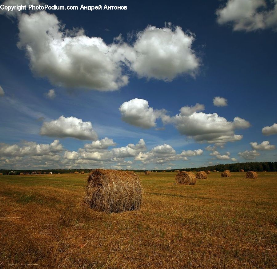 Countryside, Hay, Straw, Field, Grass, Grassland, Land