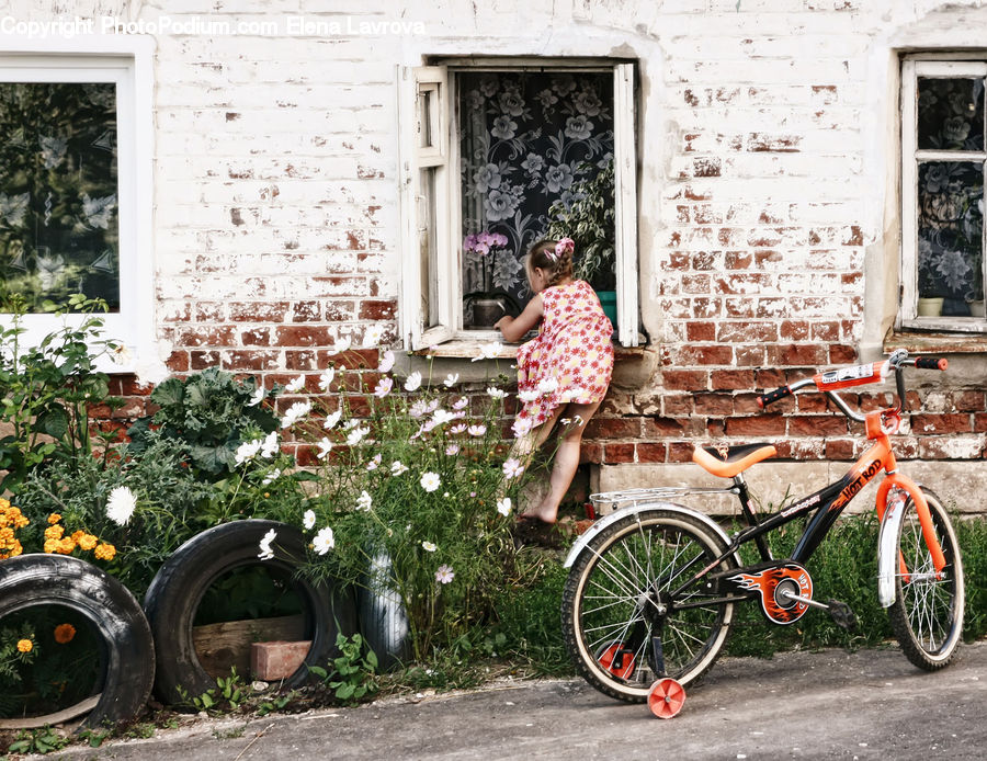 People, Person, Human, Bicycle, Bike, Vehicle, Tire