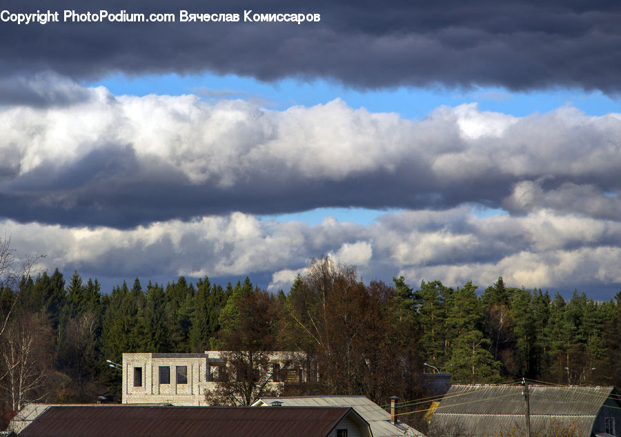 Cloud, Cumulus, Sky, Azure Sky, Outdoors