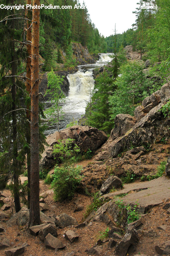 Creek, Outdoors, River, Water, Landslide, Path, Trail