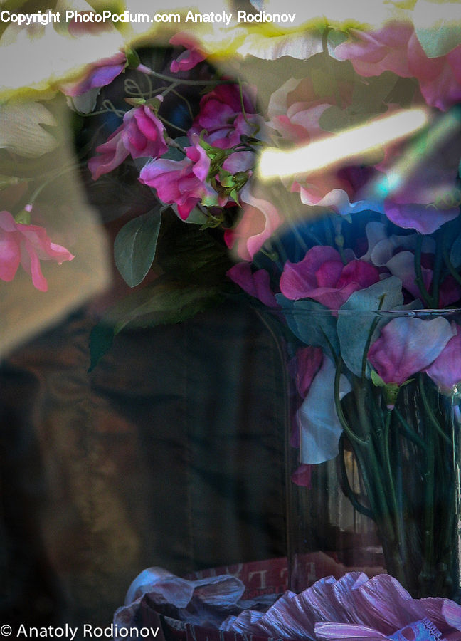 People, Person, Human, Floral Design, Flower, Flower Arrangement, Flower Bouquet