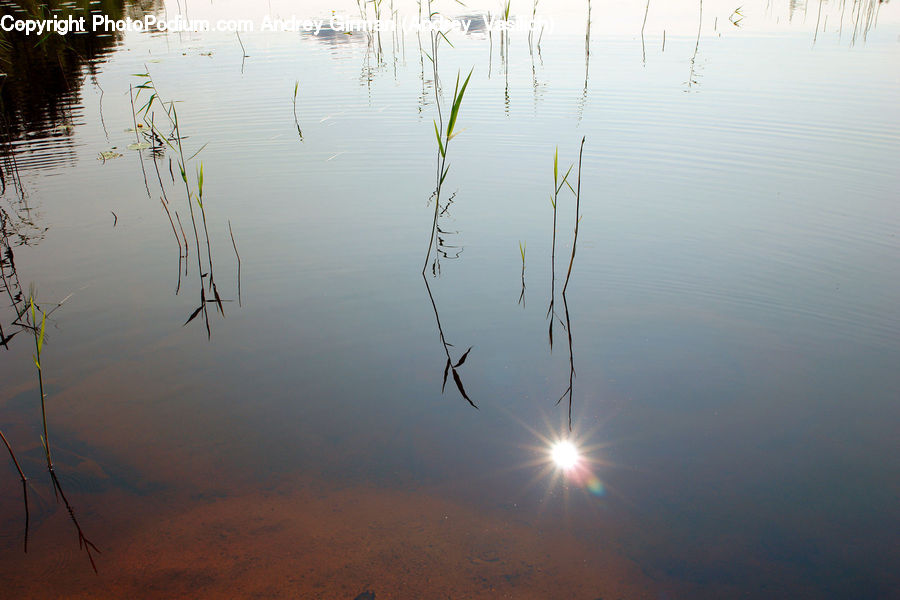 Dawn, Dusk, Sky, Sunrise, Sunset, Land, Marsh