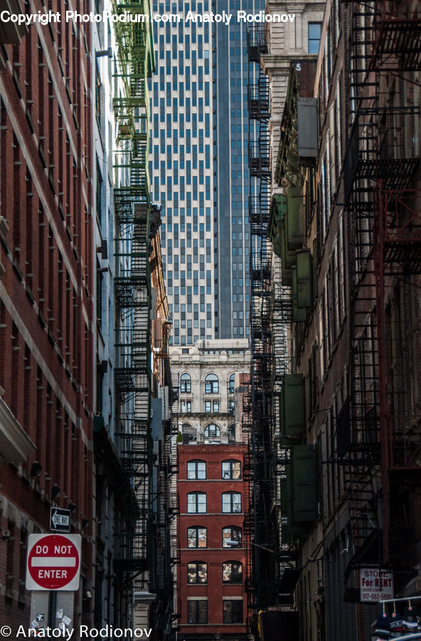 Road Sign, Stopsign, Street Sign, City, Downtown, Building, Urban