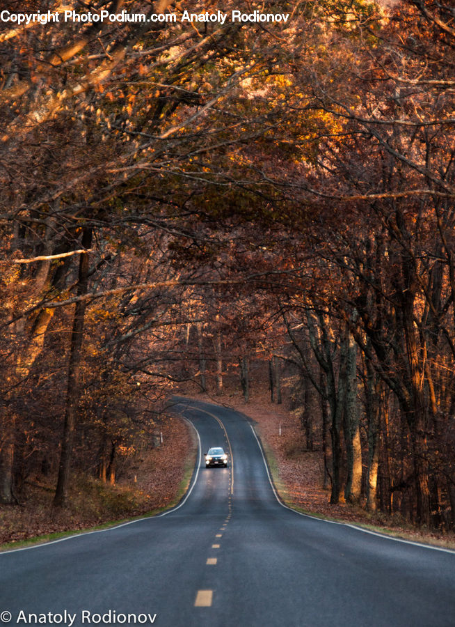 Dirt Road, Gravel, Road, Freeway, Highway, Landscape, Nature