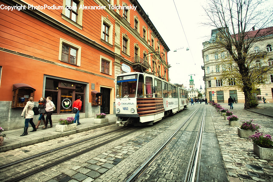 Cable Car, Streetcar, Trolley, Vehicle, Plant, Potted Plant, Rail