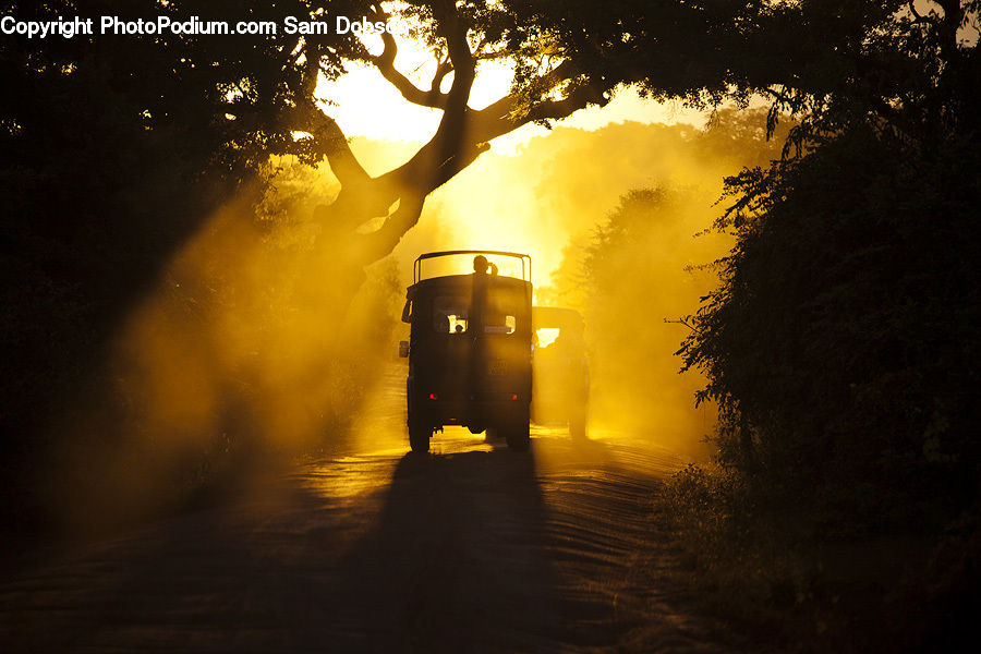 Dirt Road, Gravel, Road, Flare, Light, Sunlight