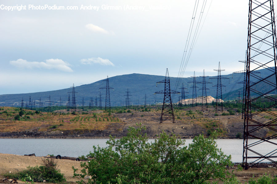 Cable, Electric Transmission Tower, Power Lines, Bush, Plant, Vegetation, Blossom