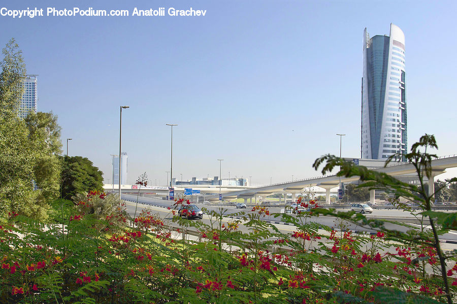 Garden, Blossom, Flora, Flower, Plant, Building, Housing