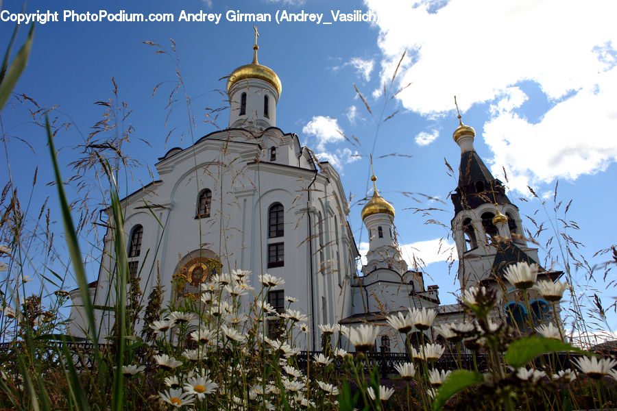 Architecture, Tower, Bell Tower, Clock Tower, Housing, Monastery, Church