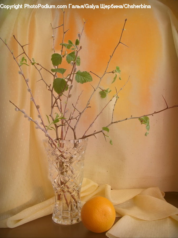 Citrus Fruit, Fruit, Orange, Plant, Potted Plant, Flower Arrangement, Ikebana