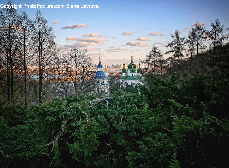 Architecture, Housing, Monastery, Forest, Jungle, Rainforest, Vegetation