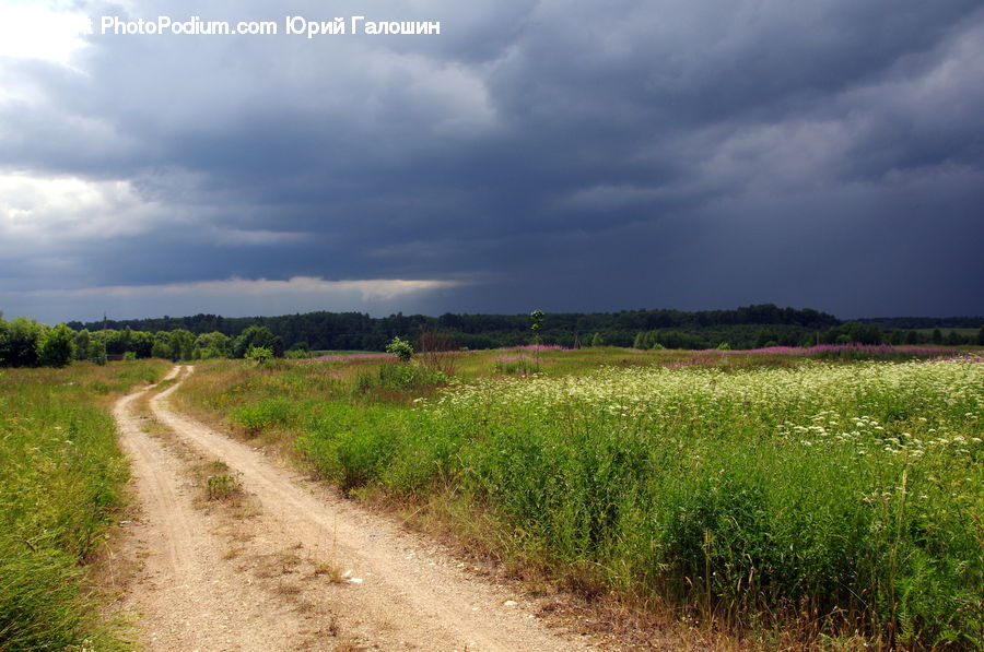 Dirt Road, Gravel, Road