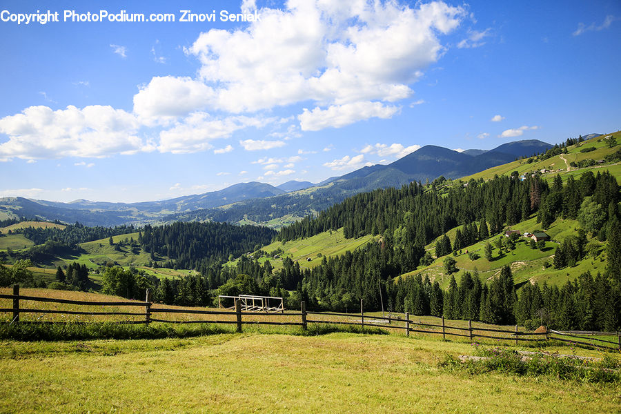 Field, Grass, Grassland, Land, Outdoors, Nature, Countryside