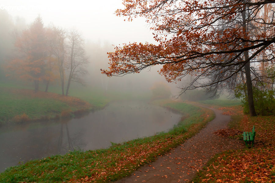 Dirt Road, Gravel, Road, Fog, Mist, Outdoors, Landscape