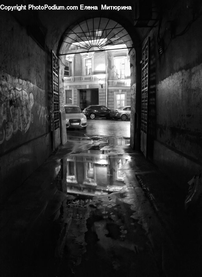 Alley, Alleyway, Road, Street, Town, Plant, Potted Plant