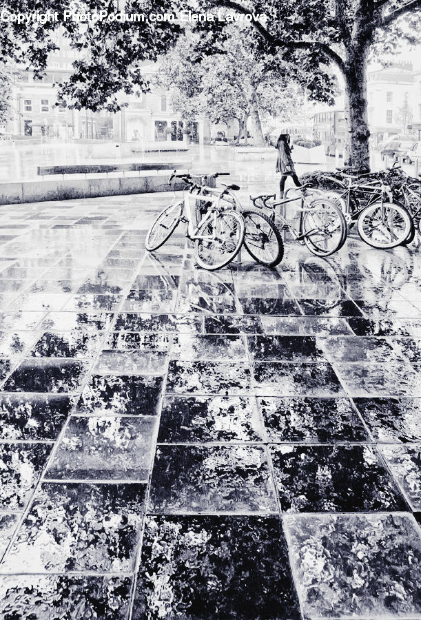 Bicycle, Bike, Vehicle, Diagram, Plan, Asphalt, Tarmac