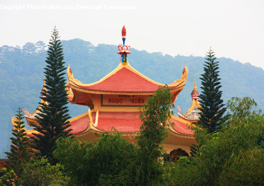 Architecture, Pagoda, Shrine, Temple, Worship, Bush, Plant