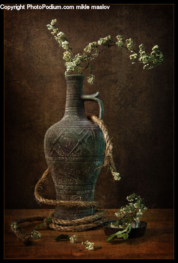 Plant, Potted Plant, Bonsai, Tree, Glass, Goblet, Jar