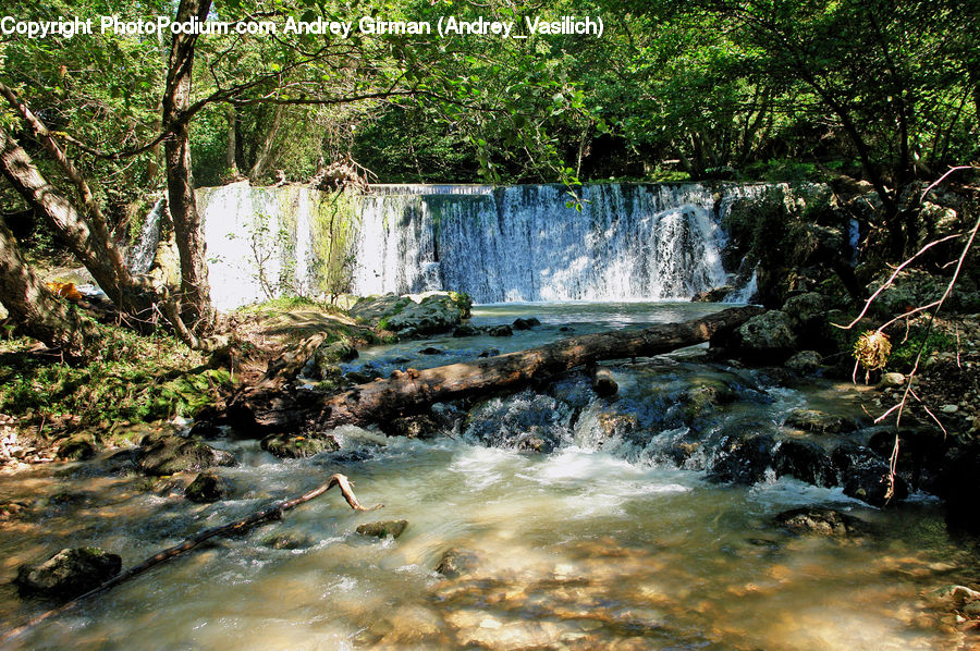 Creek, Outdoors, River, Water, Forest, Jungle, Rainforest