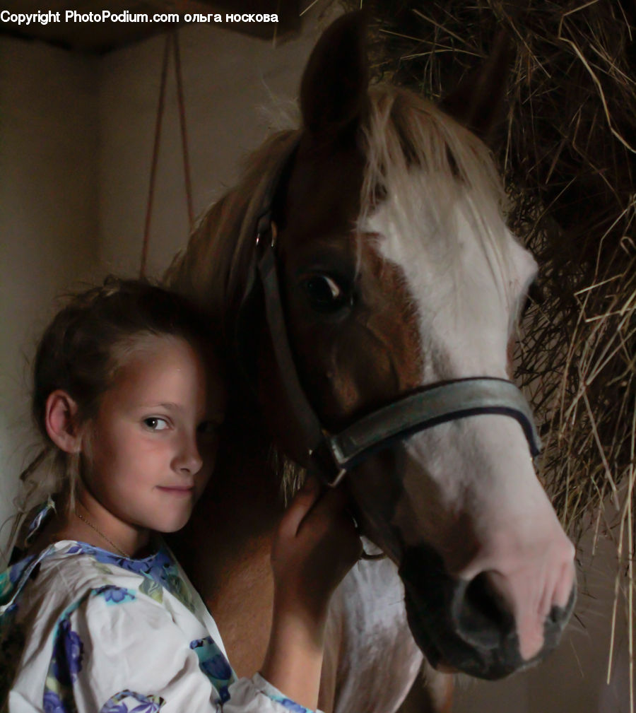 People, Person, Human, Animal, Colt Horse, Foal, Horse