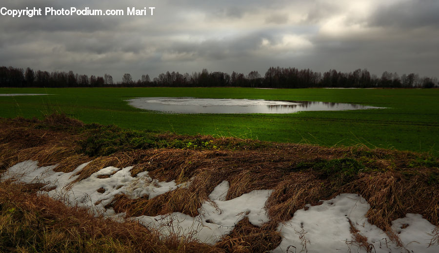 Countryside, Field, Grass, Grassland, Paddy Field, Land, Marsh