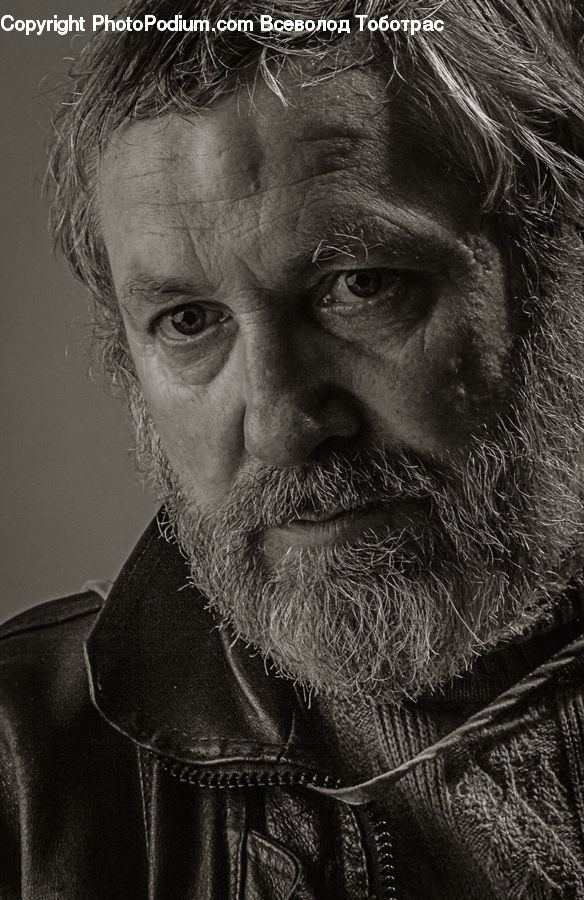 Beard, Hair, Person, Portrait, Selfie