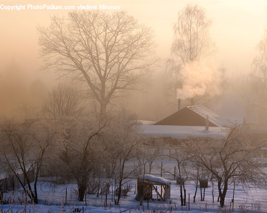 Landscape, Nature, Scenery