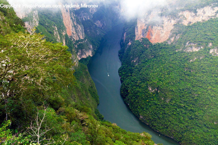 Mountain, Outdoors, Valley, Nature, Forest, Vegetation, Jungle