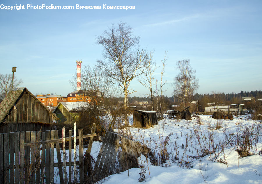 Cabin, Hut, Rural, Shack, Shelter, Field, Grass