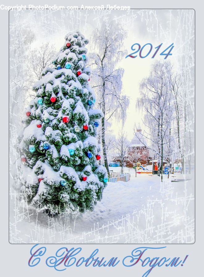 Ice, Outdoors, Snow, Greeting Card, Mail, Conifer, Fir