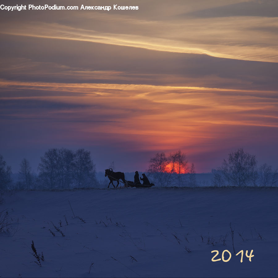 Arctic, Snow, Winter, Dawn, Dusk, Sky, Sunrise
