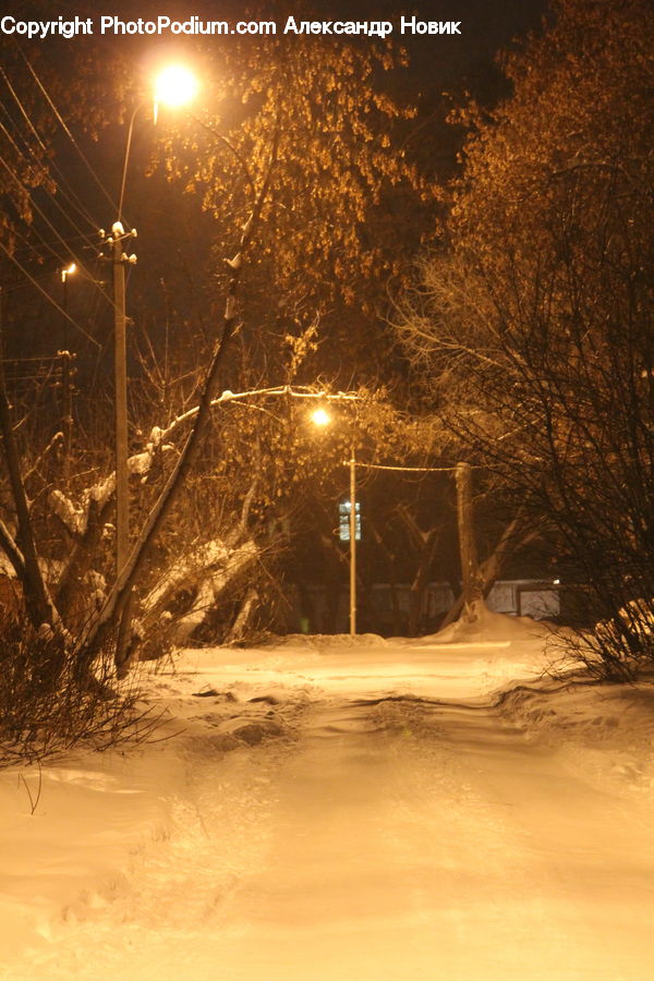 Blizzard, Outdoors, Snow, Weather, Winter, Ice, Plant