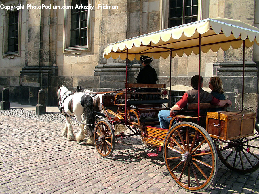 People, Person, Carriage, Horse Cart, Vehicle, Human, Animal