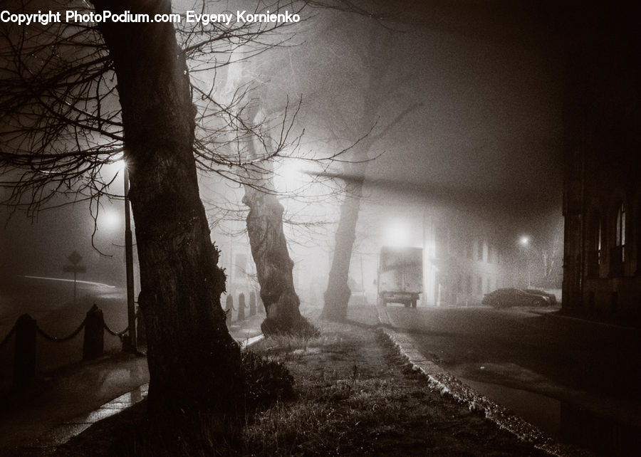 Fog, Alley, Alleyway, Road, Street, Town, Night