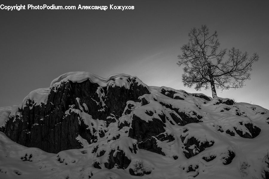 Alps, Crest, Mountain, Peak, Outdoors, Oak, Tree