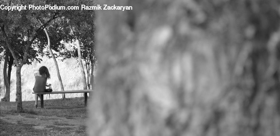 People, Person, Human, Back, Bench, Outdoors, Portrait