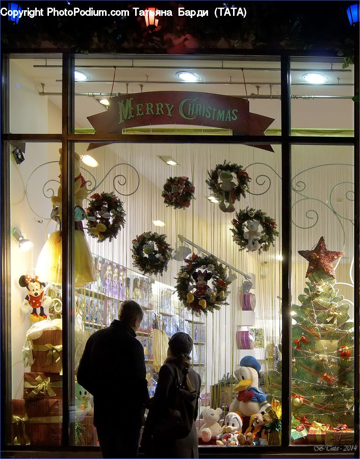 Human, People, Person, Boutique, Shop, Window Display, Plant