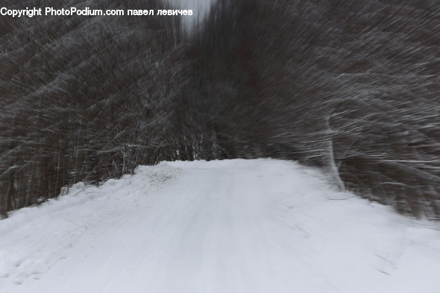 Ice, Outdoors, Snow, Dirt Road, Gravel, Road, Forest