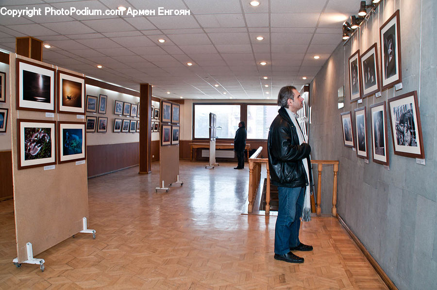 Human, People, Person, Art, Art Gallery, Floor, Flooring