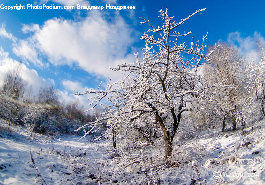 Frost, Ice, Outdoors, Snow, Landscape, Nature, Scenery