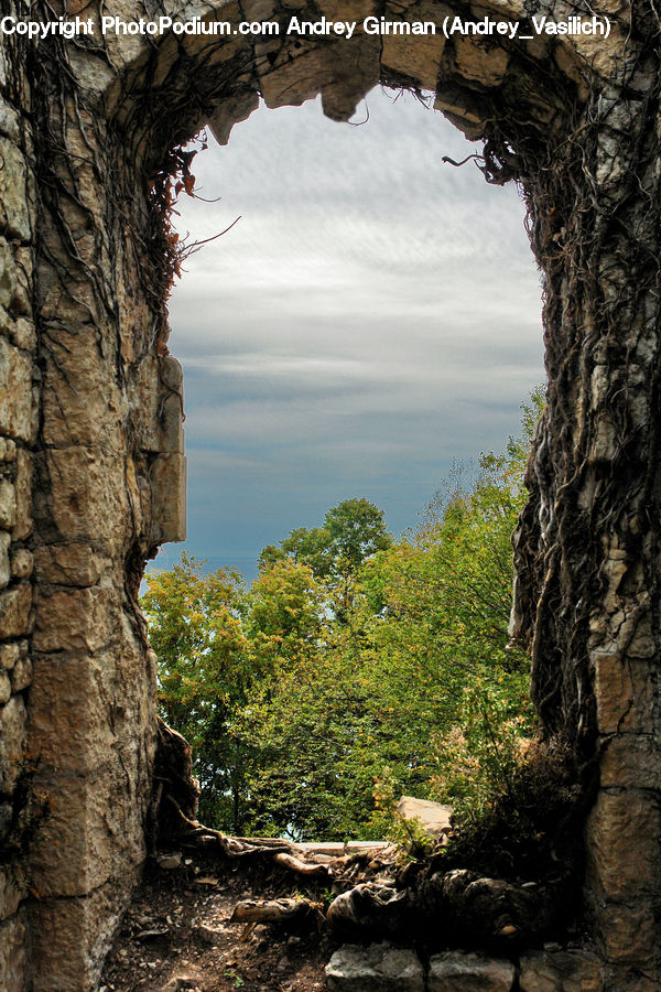 Cliff, Outdoors, Ruins, Hole, Plant, Vegetation, Blossom