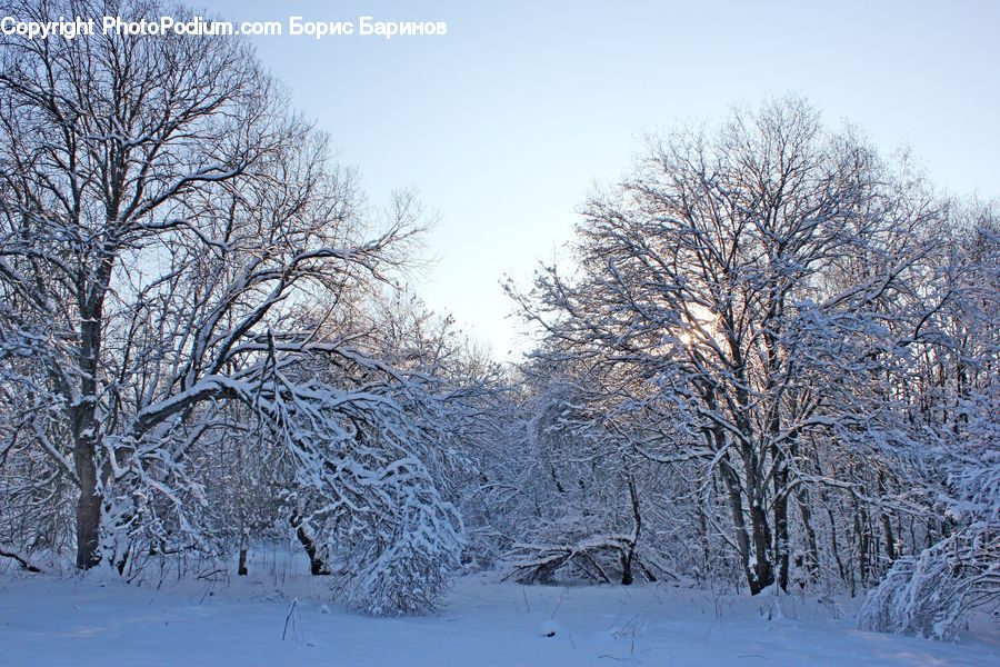 Blizzard, Outdoors, Snow, Weather, Winter, Landscape, Nature