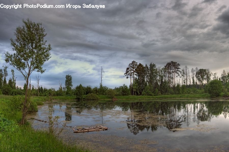 Land, Marsh, Outdoors, Swamp, Water, Pond