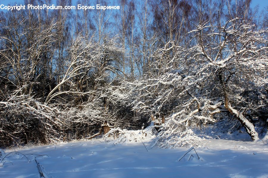 Ice, Outdoors, Snow, Frost, Landscape, Nature, Scenery