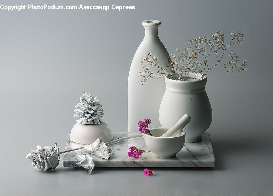 Plant, Potted Plant, Art, Porcelain, Pottery, Lace, Cake