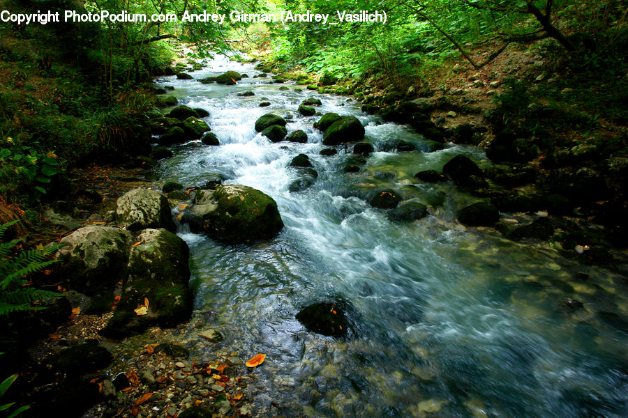 Creek, Outdoors, River, Water, Bonfire, Campfire, Camping