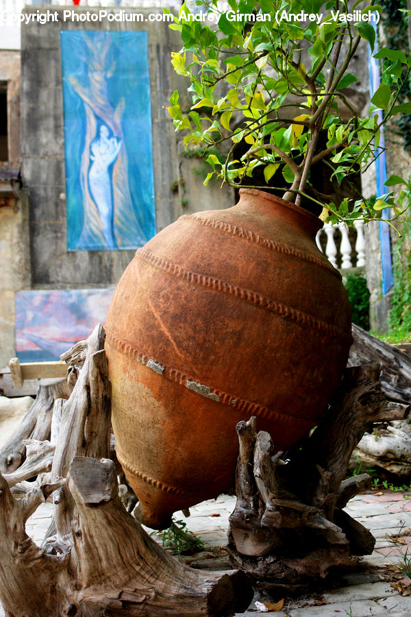 Jar, Pot, Urn, Vase, Driftwood, Wood, Ivy